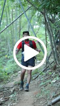 BIB:  <button type="button" onclick="openModal(28039812)" class="btn btn-primary btn-sm float-right" data-toggle="modal" data-target=".modal-high-quality">
                <i class="fa fa-download"></i> Download
                </button>